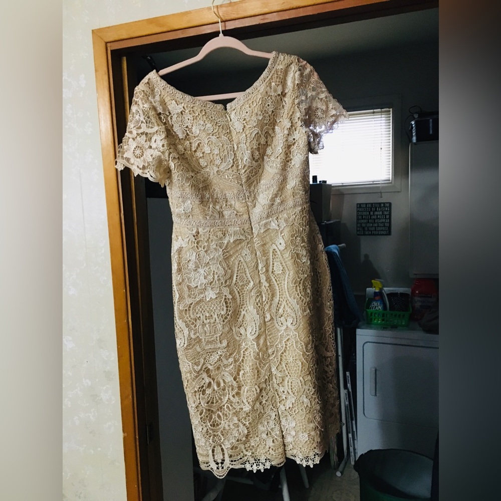 formal lace cocktail dress- size 10